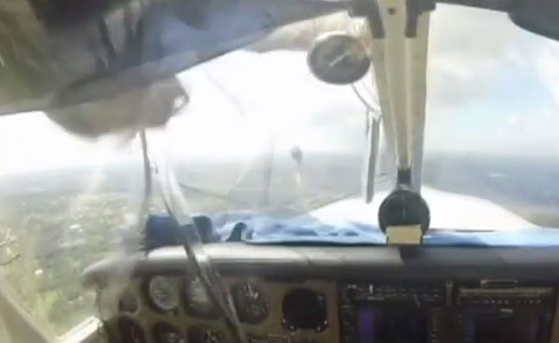 Bird strike mid-air collision caught on camera
