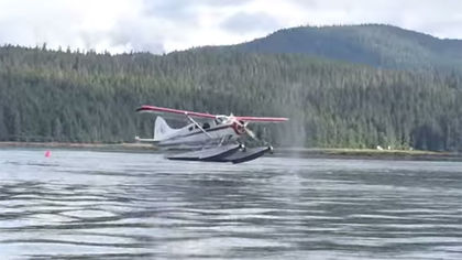 Float Plane Almost Lands on Whale – Video
