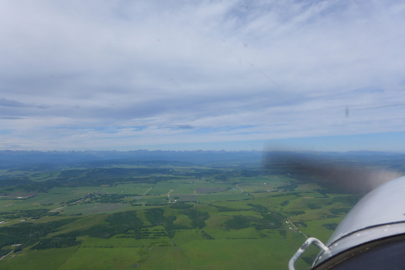 Emergency Operations: Field Selection