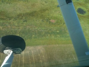 Can I land my airplane in that field?